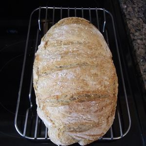 Meet your Posher, Pearl